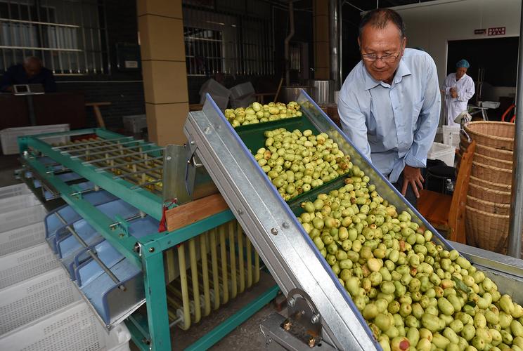 聚焦“最初一公里” 推动农产品源头非食用初加工，激活乡村产业新动能
