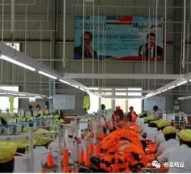 中国人的非洲服装厂火了,总统也关注