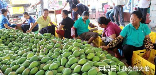 广西知名度最高的12种特色产品 你用过几种